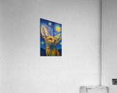 fennec starry night Acrylic Print