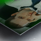 Patrick Quaker  1 Metal print