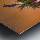 Sunset at Viera Wetlands Metal print