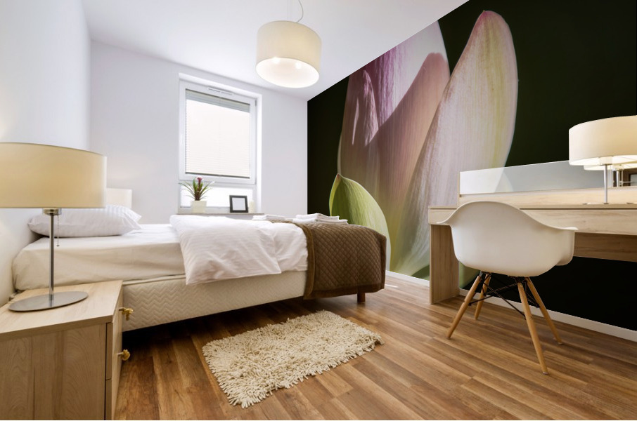 Water Lilies Mural print