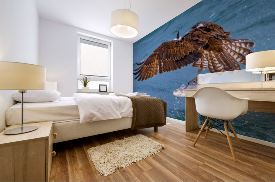 OSPREY AND POMPANO Mural print