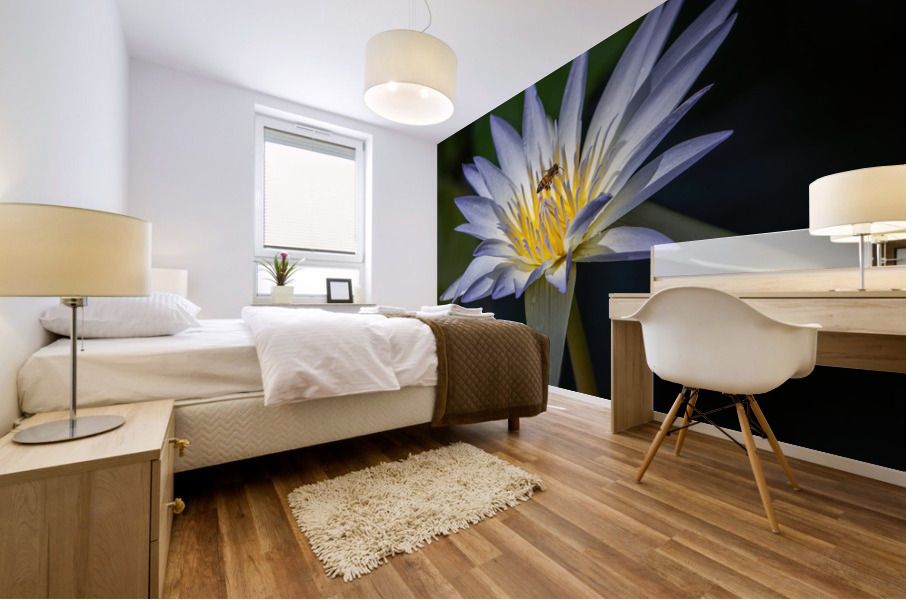  Water Lilies Mural print