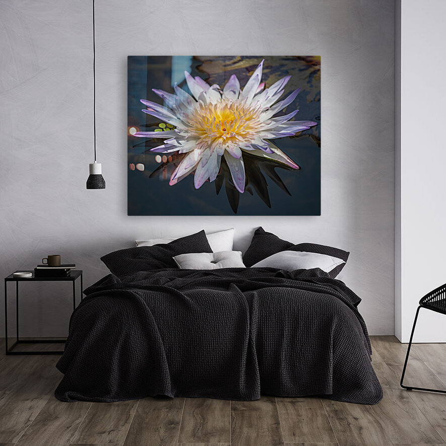   Water Lilies Reproduction