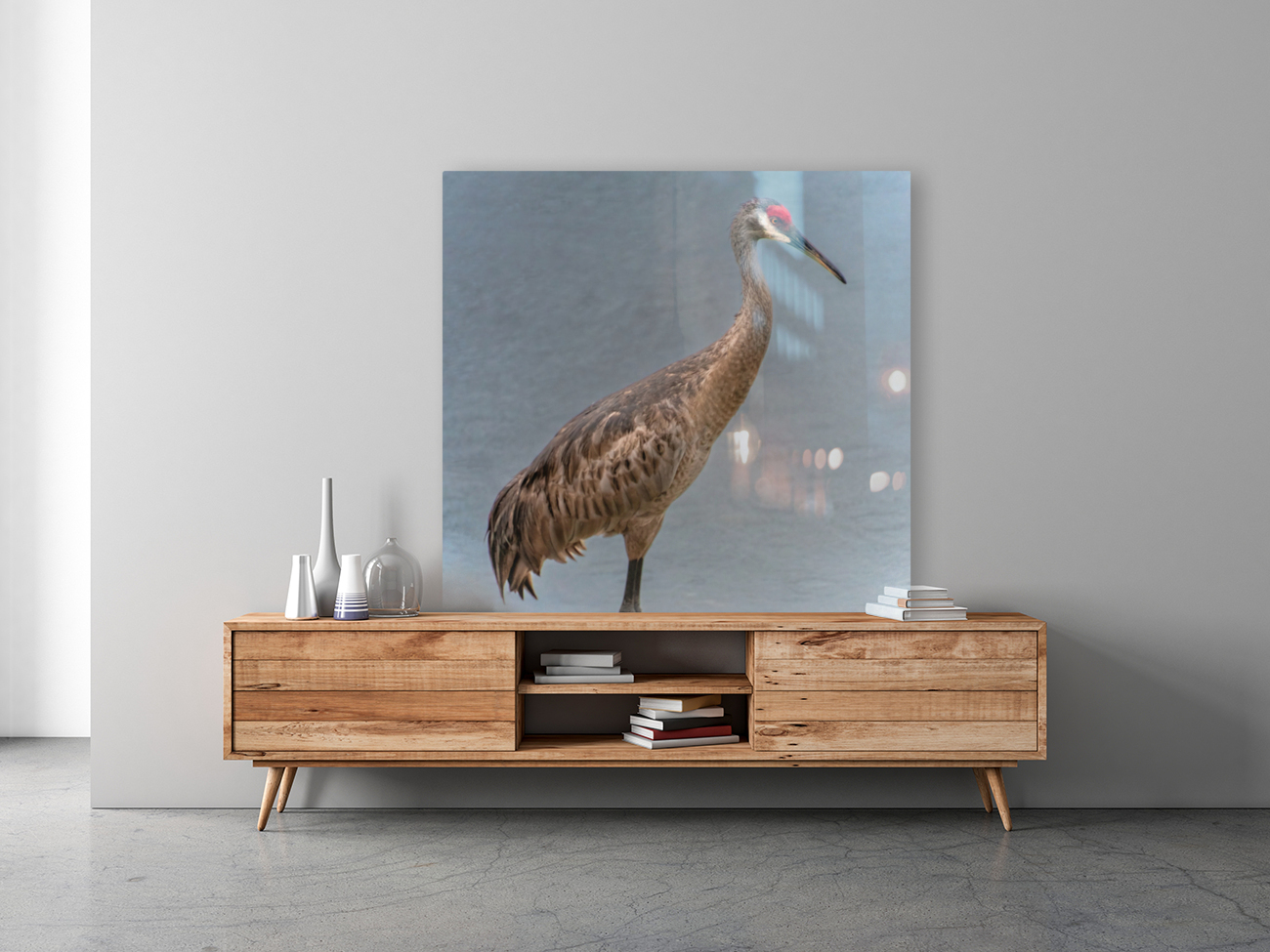   Sandhill Crane  Reproduction