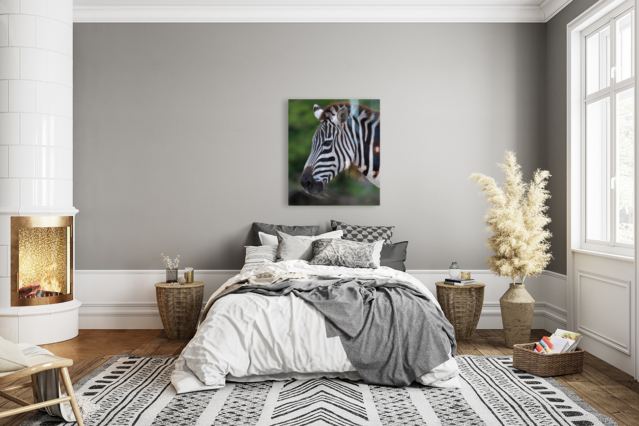 ZEBRA Reproduction