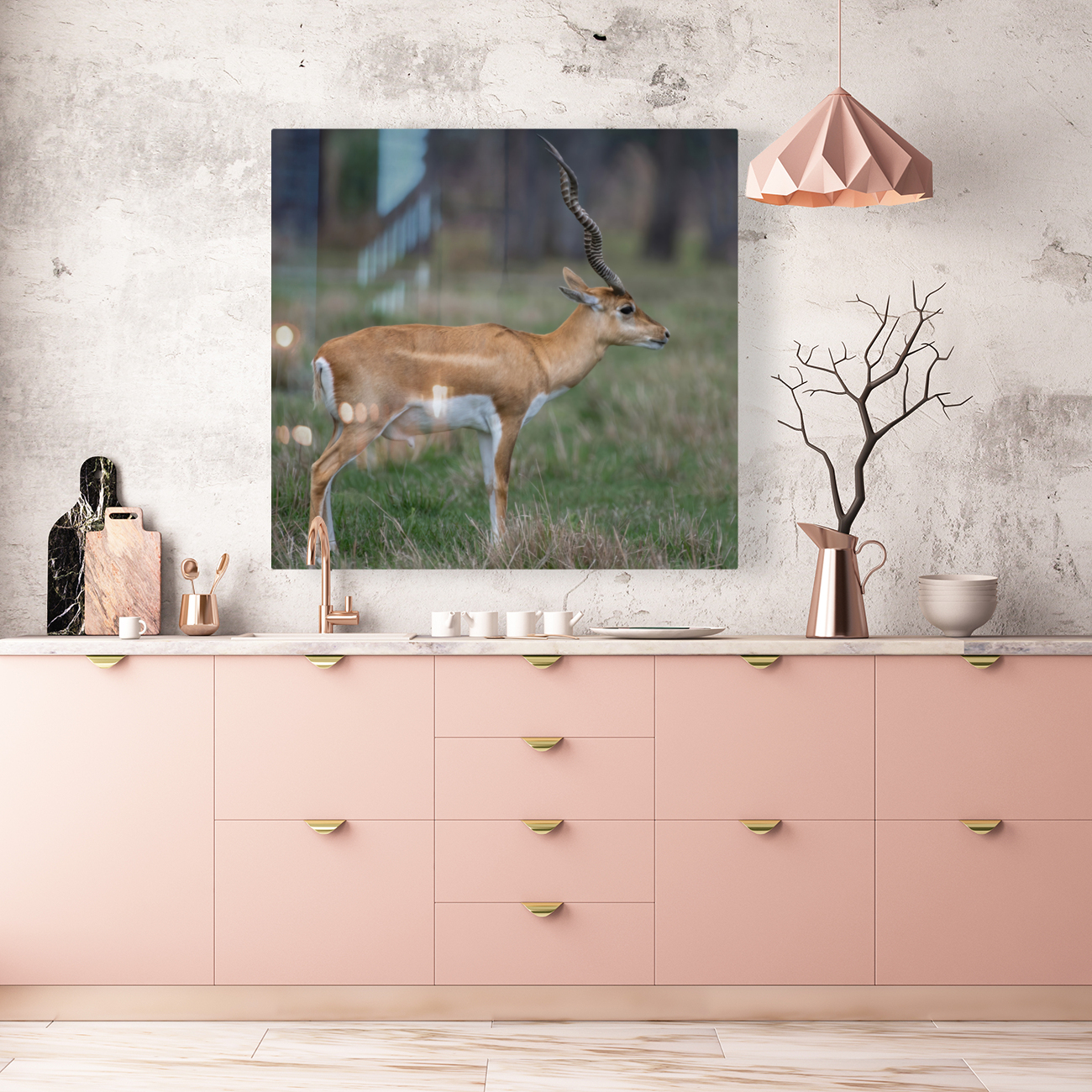  ANTILOPE Reproduction