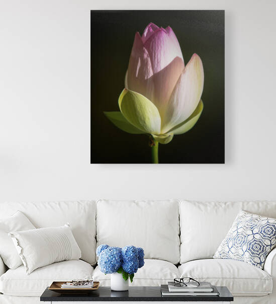 Water Lilies Reproduction