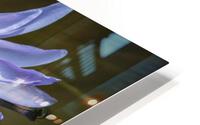 Water Lilies HD Metal print