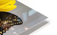 Sunflower & Butterfly HD Metal print