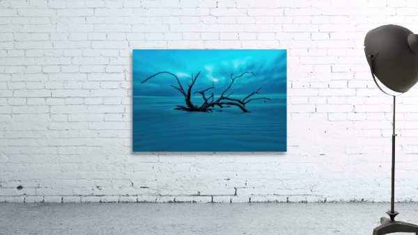 Jekyll Island Wall Preview