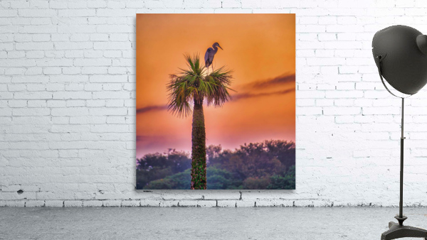 Sunset at Viera Wetlands Wall Preview