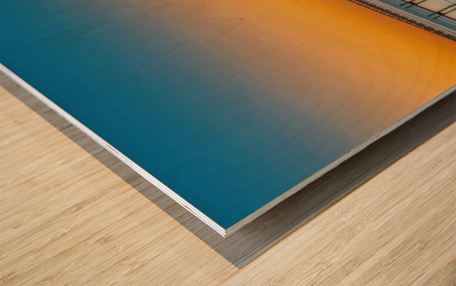 INDIAN RIVER LOGOON Wood print