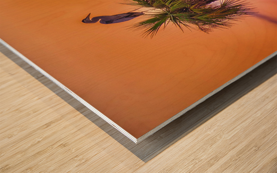 Sunset at Viera Wetlands Wood print