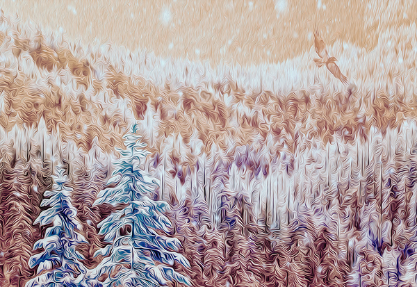 soaring over the hearts of the Kootenais Digital Download