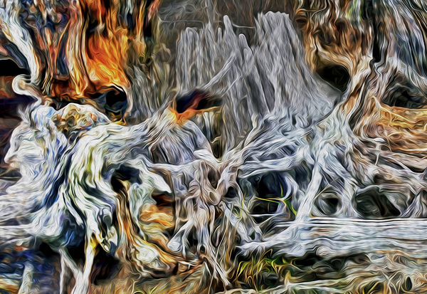 petrified at low tide Digital Download