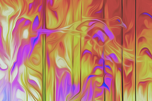 feathers and fire Digital Download