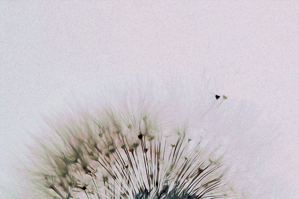 fly away with me Téléchargement Numérique