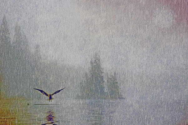 a lullible gulliby Digital Download