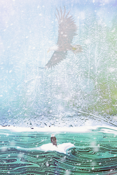 watching from above Digital Download