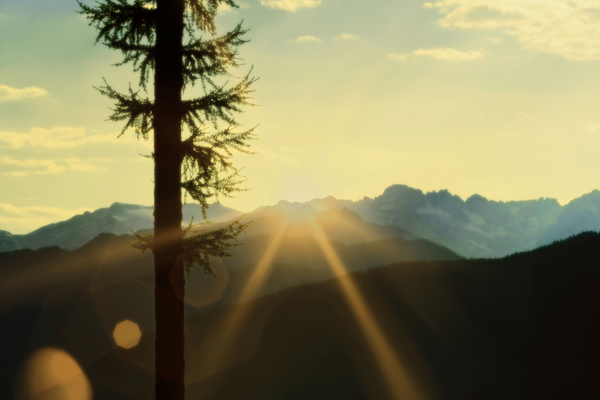 Loki Doki Golden Delight Digital Download