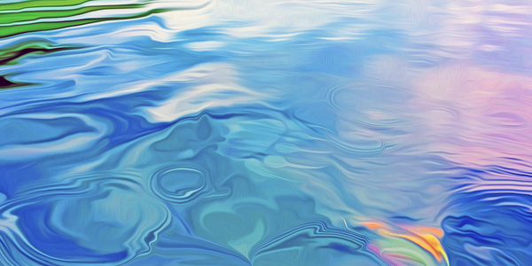 Paws for reflection : panoramic orientation Digital Download