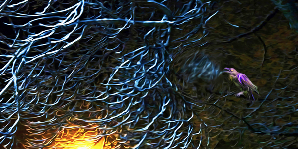 night Caw Cawler : Panoramic Orientation Digital Download