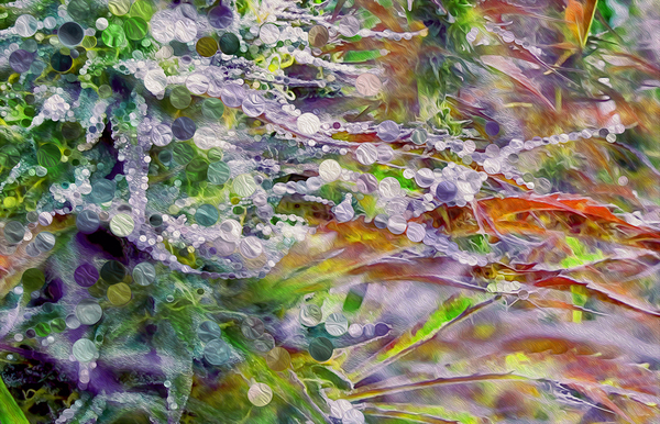 a perfectly sticky siuation Digital Download