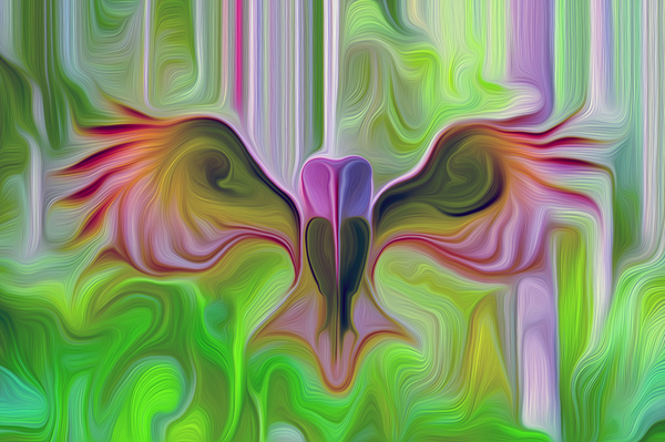 acknOWLedged Digital Download