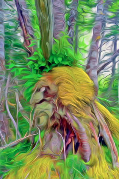 an east coast toast to viking roots Digital Download