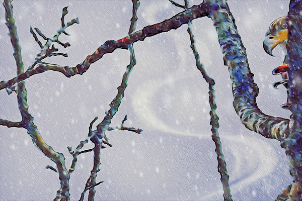 beakaboo   landcape orientaton Digital Download