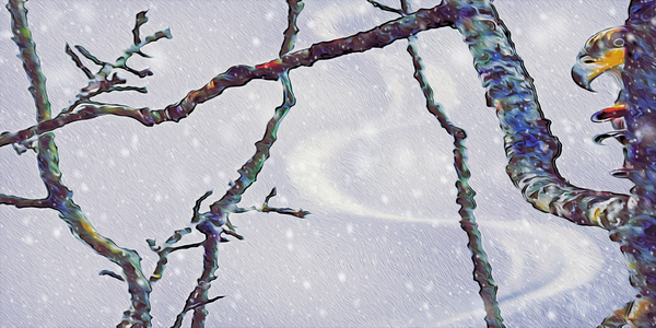 beakaboo panoramic orientation Digital Download