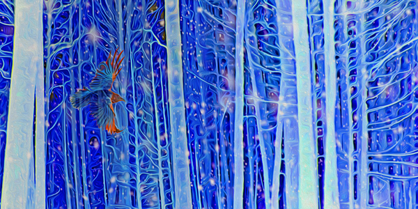 cold burn Digital Download