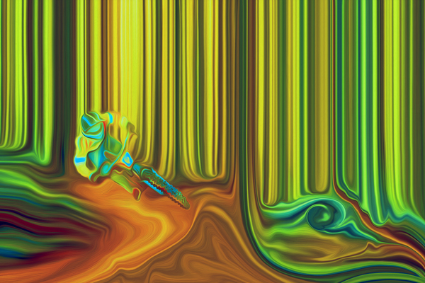 dirt burglar Digital Download