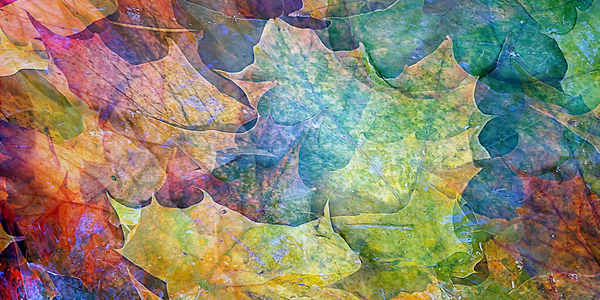 september super natural Digital Download