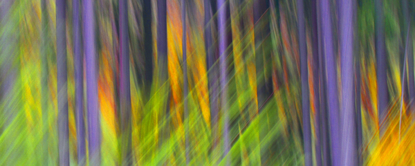 fired up Digital Download