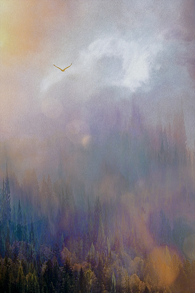 into the mystic Digital Download