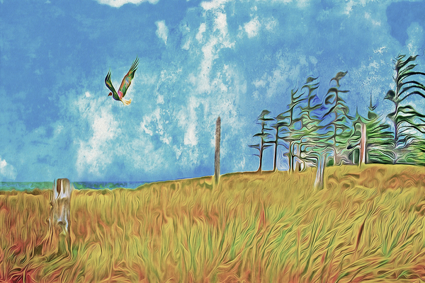 left coast poetry Digital Download