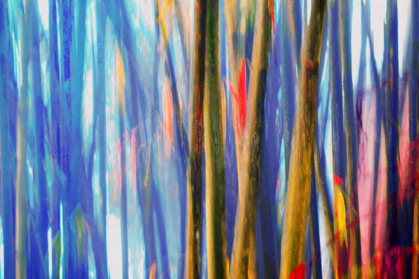 true blue bambooster Digital Download