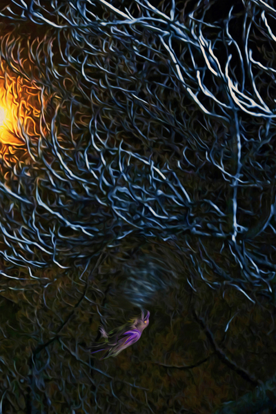 night Caw Cawler Digital Download