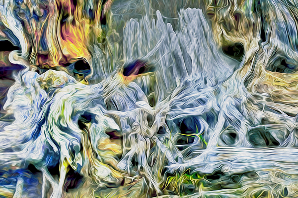 pertrified at low tide Digital Download