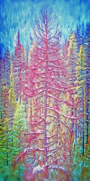 pink spring chinook Digital Download