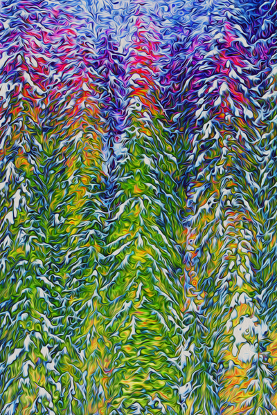 presimmon cardigan coniferous sunrise Landscape O Digital Download