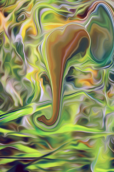 psycadeliphant Digital Download