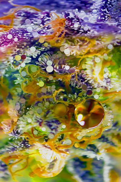 pumping up the jam Digital Download