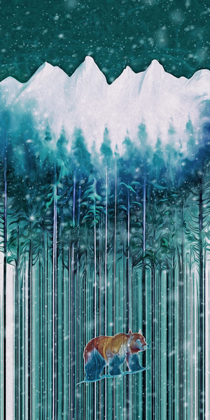 seeking higher ground Digital Download