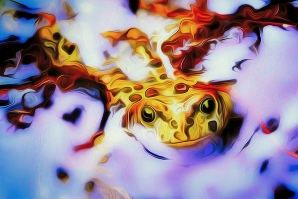 simba and the toad Digital Download