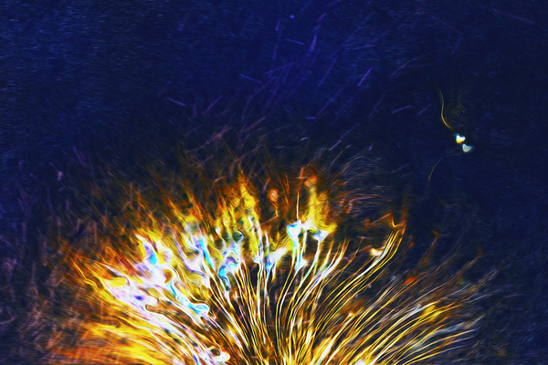 sparks and hearts rising Téléchargement Numérique