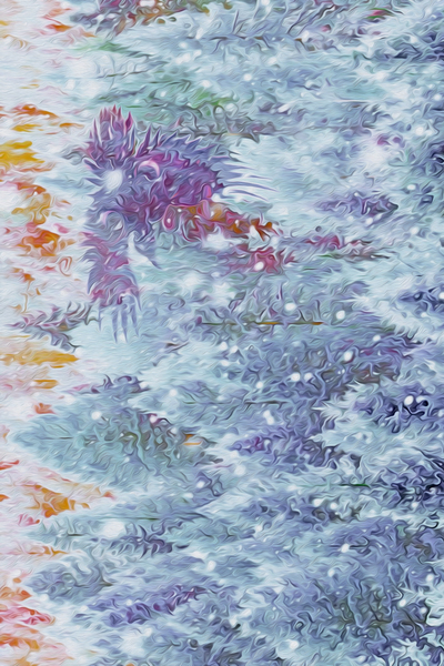 terra ratta dawn patrol Digital Download