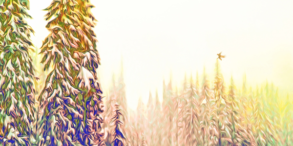 tricksters glow Panoramic Orientation Digital Download