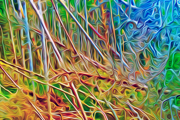 where the wild thigs are Digital Download